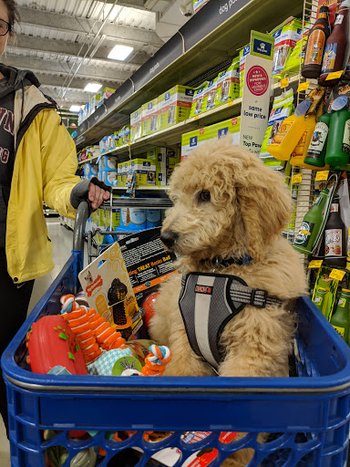 Pet Supply Store «PetSmart», reviews and photos, 1515 US-22, Watchung, NJ 07069, USA