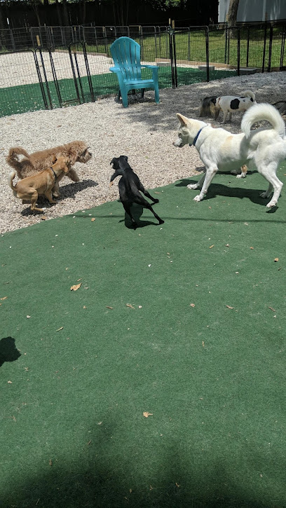 Super Paws: Dog Boarding & Daycare