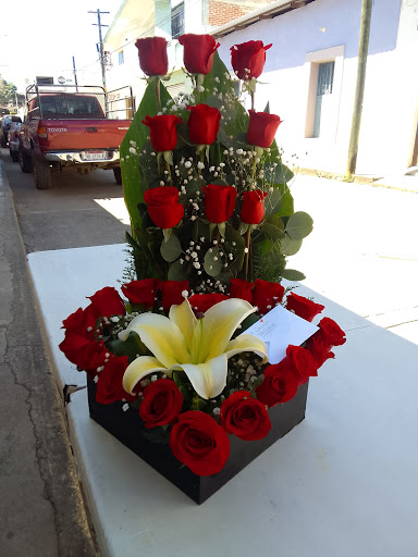 Florería Rosas – Coalcomán de Vázquez Pallares