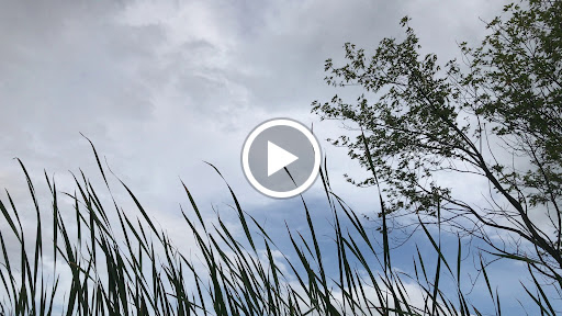 Wildlife Refuge «Great Meadows National Wildlife Refuge», reviews and photos, 73 Weir Hill Rd, Sudbury, MA 01776, USA