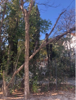 Photo n° 2 de l'avis de lesdemeures.e fait le 17/03/2021 à 07:01