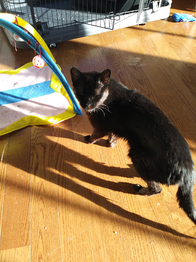 Park «Vailsburg Park», reviews and photos, 694-736 S Orange Ave, Newark, NJ 07106, USA