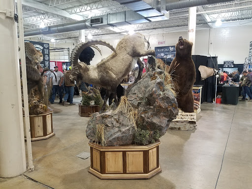 Taxidermist «HighPoint Taxidermy And Outfutters», reviews and photos, 14860 OH-13, Thornville, OH 43076, USA