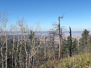Crow Peak Trailhead - photo 82