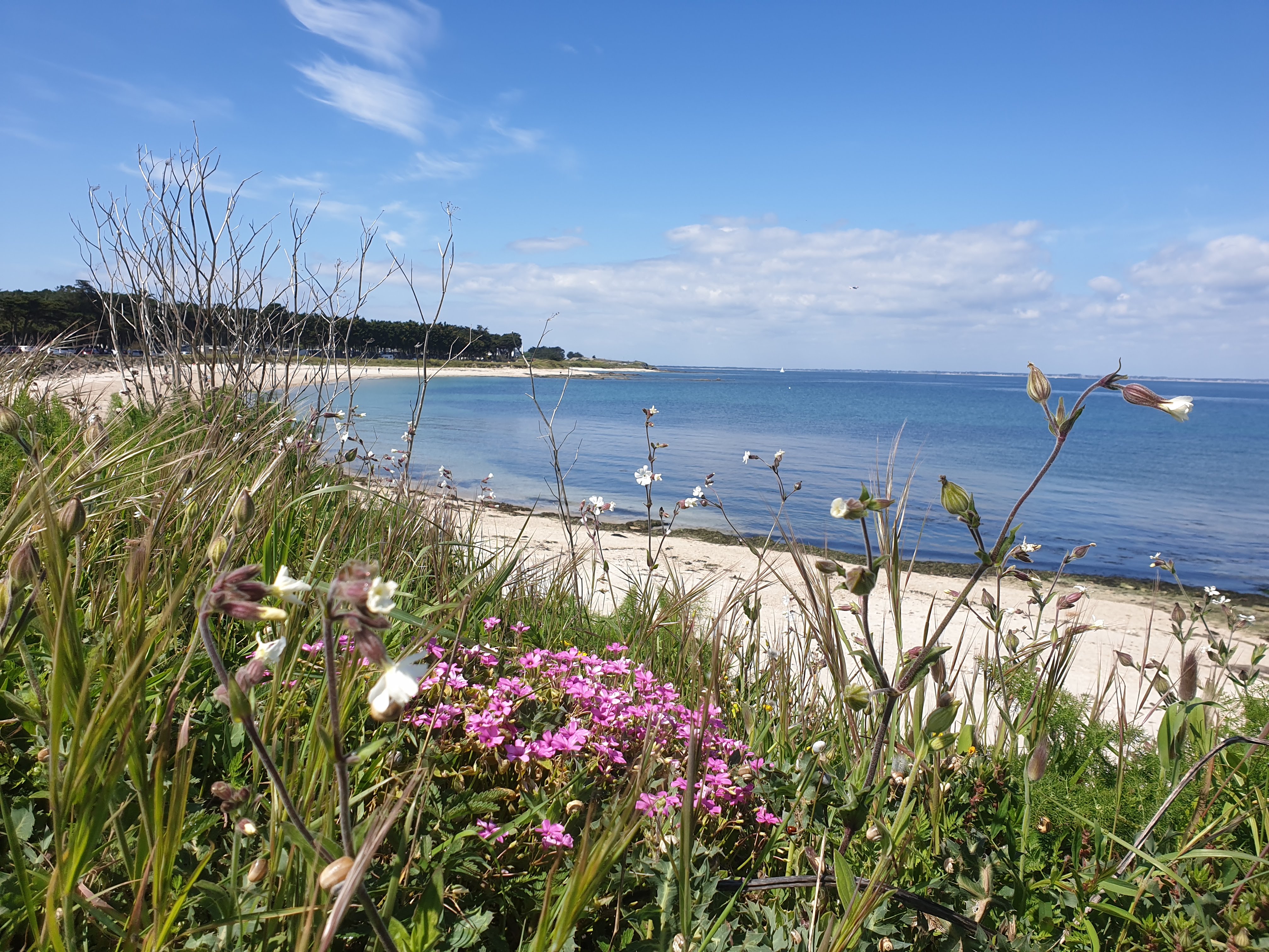 Photo n° 8 de l'avis de Emmanuel.l fait le 29/04/2019 à 16:58