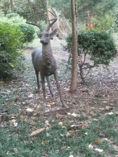 Tourist Attraction «McRaven Tour Home», reviews and photos, 1445 Harrison St, Vicksburg, MS 39180, USA