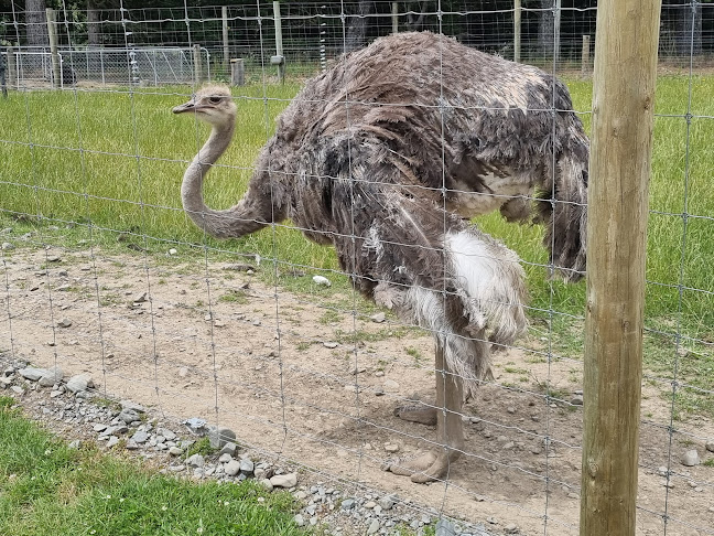 Hanmer Springs Animal Park - Parking garage