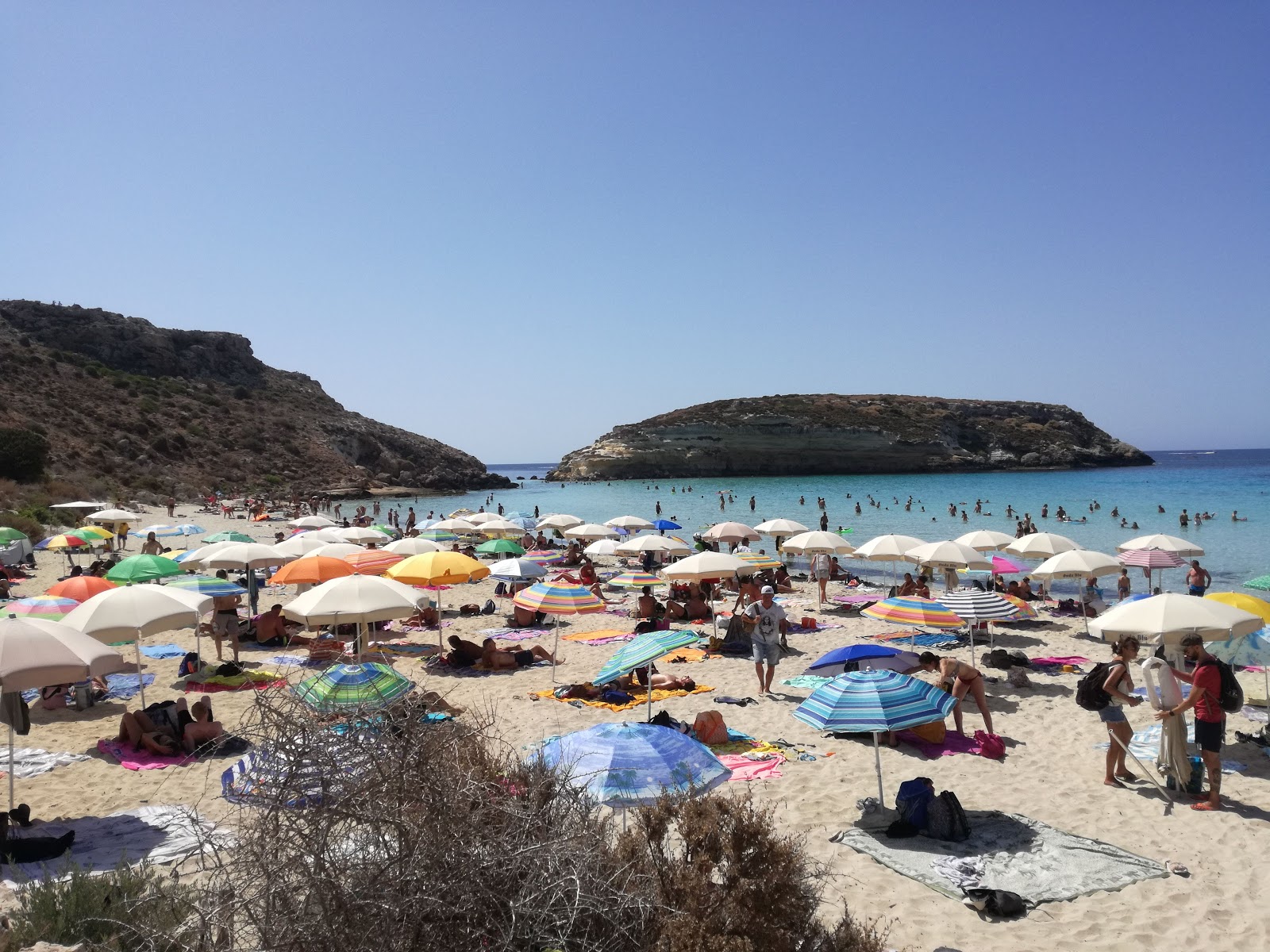 Rabbit beach photo #8