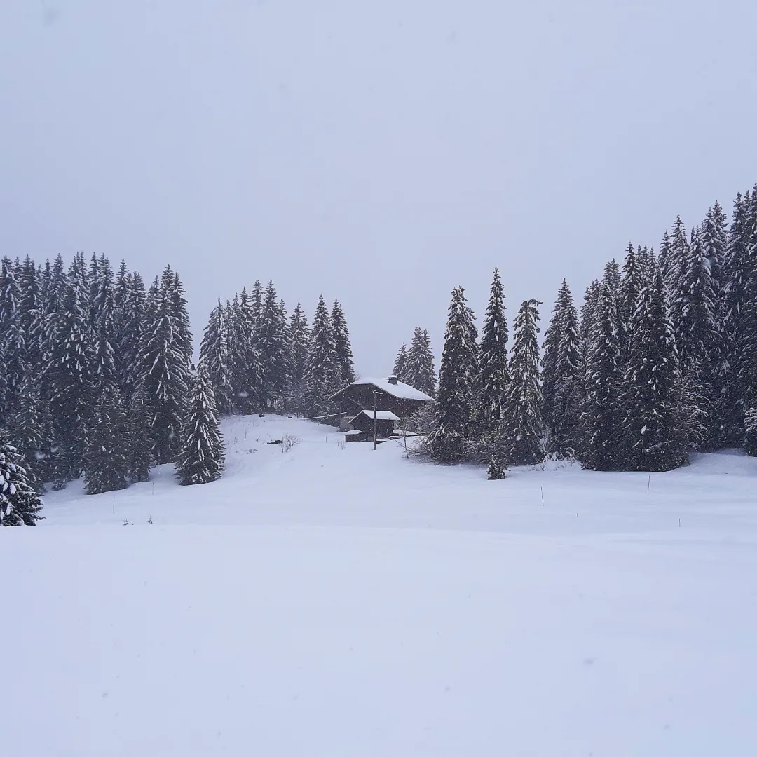 Photo n° 1 de l'avis de Roselyne.h fait le 15/03/2023 à 12:58