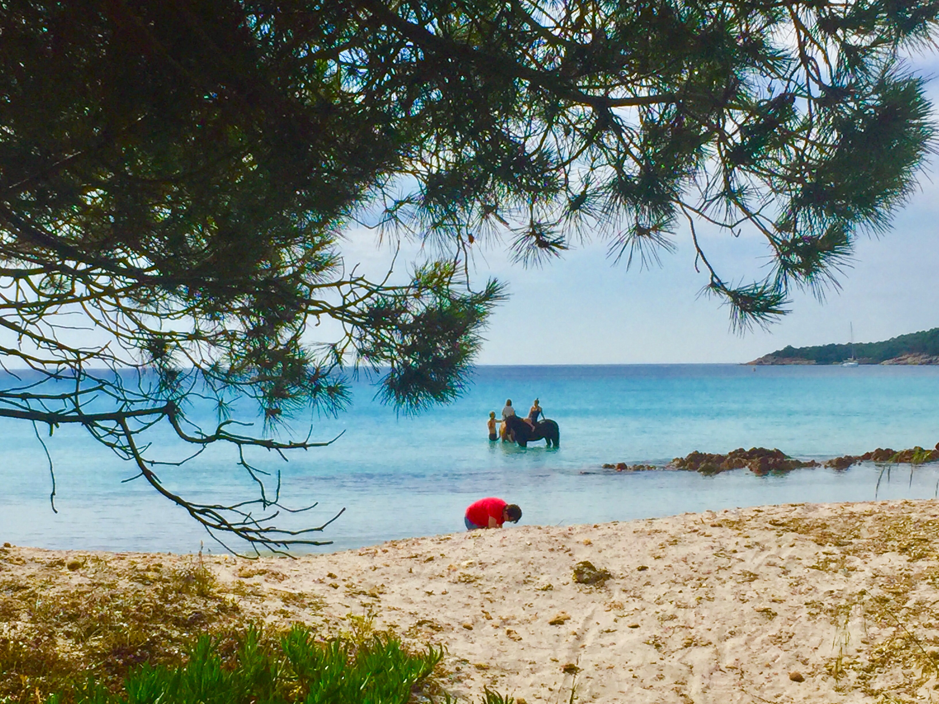 Photo n° 2 de l'avis de Alexandre.l fait le 21/06/2018 à 20:32