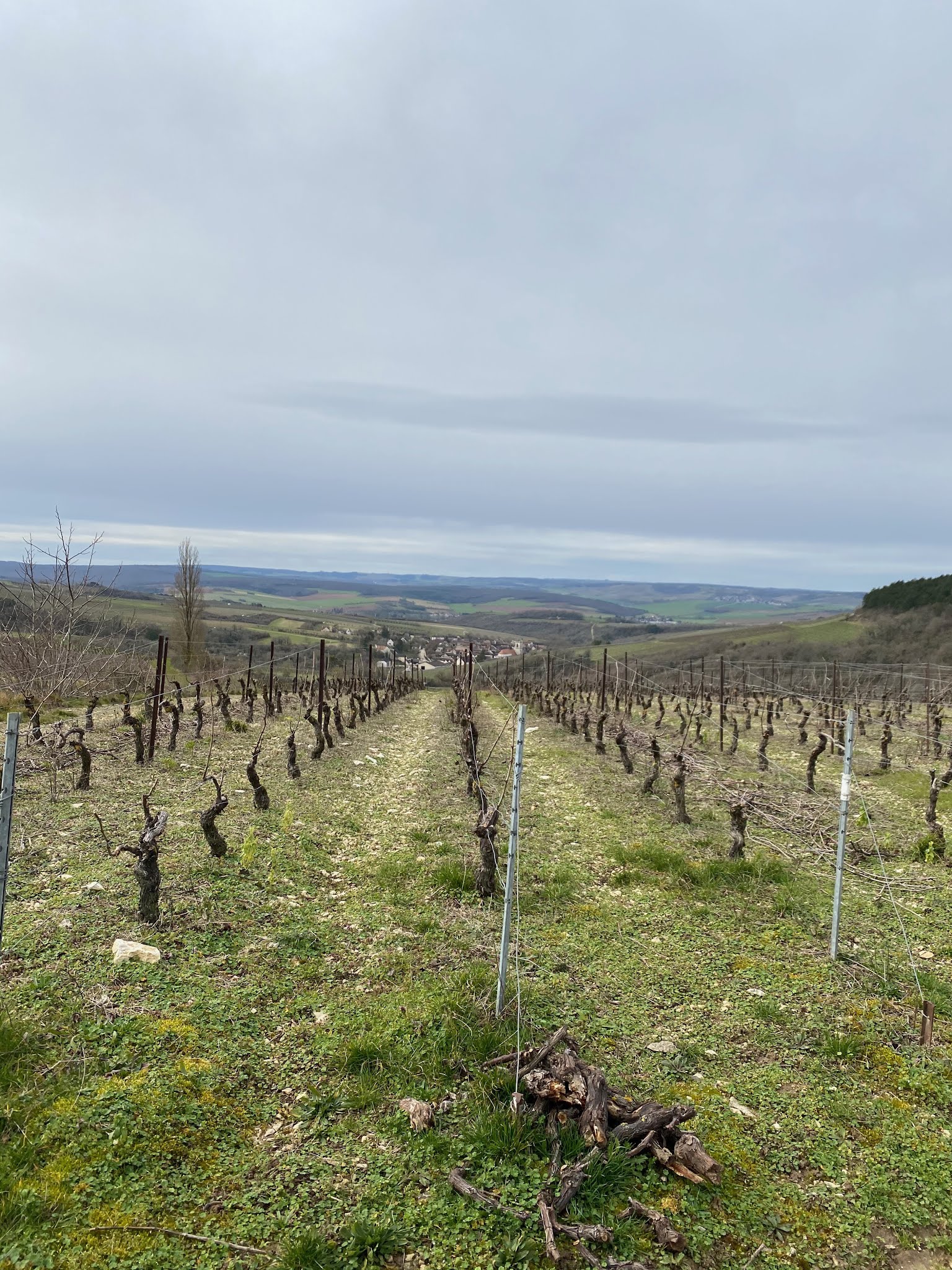 Photo n° 3 de l'avis de Amara.r fait le 27/03/2020 à 00:27
