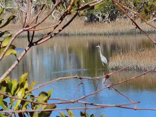 Aquarium «North Carolina Aquarium at Pine Knoll Shores», reviews and photos, 1 Roosevelt Blvd, Pine Knoll Shores, NC 28512, USA