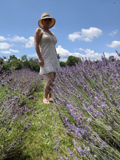 Gift Shop «Hidden Spring Lavender Farm and Gift Shoppe», reviews and photos, 890 Belle Mead-Blawenburg Rd, Skillman, NJ 08558, USA