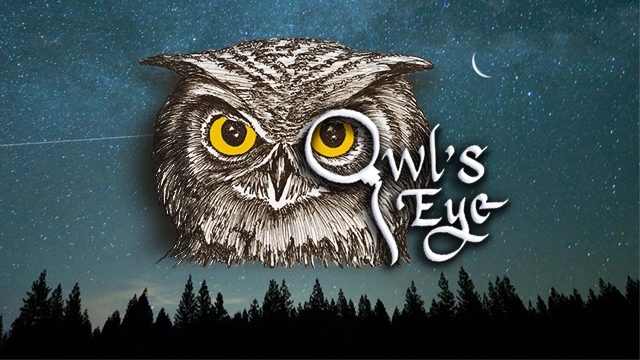Owl's Eye Wellness 14850