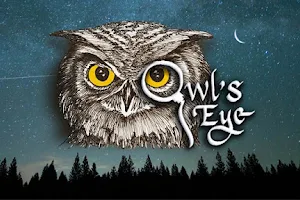 Owl's Eye Wellness image