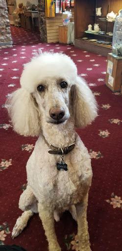 Museum «Miramont Castle Museum», reviews and photos, 9 Capitol Hill Ave, Manitou Springs, CO 80829, USA