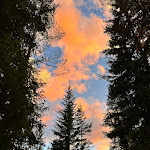 Photo n°3 de l'avis de Doro.. fait le 15/08/2022 à 09:49 sur le  Camping Sass Dlacia à Badia