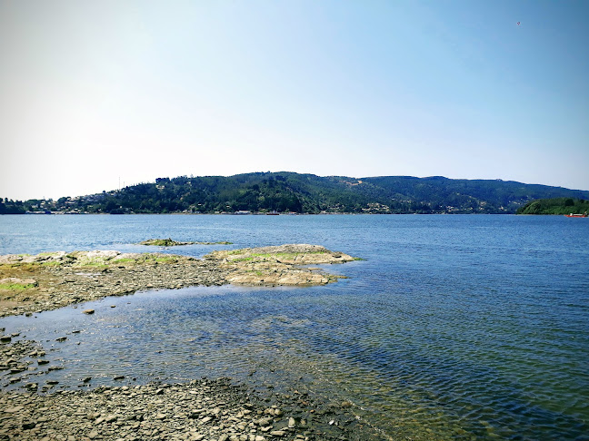 Muelle de Pasajeros Niebla