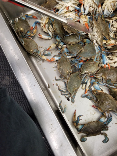 Asian Grocery Store «New Truong Nguyen Market», reviews and photos, 3555 East Walnut Street #221, Garland, TX 75042, USA