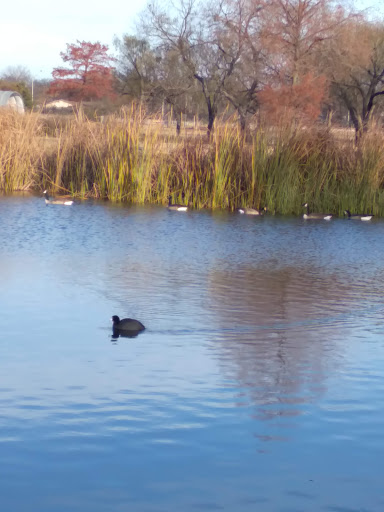 Golf Course «Prairie Lakes Golf Course», reviews and photos, 3202 SE 14th St, Grand Prairie, TX 75052, USA