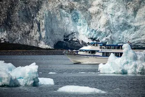 Kenai Fjords Tours image