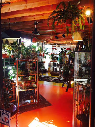 Movie Studio «Monorchid Creative Studios / Event / Wedding Venue», reviews and photos, 214 E Roosevelt St, Phoenix, AZ 85004, USA