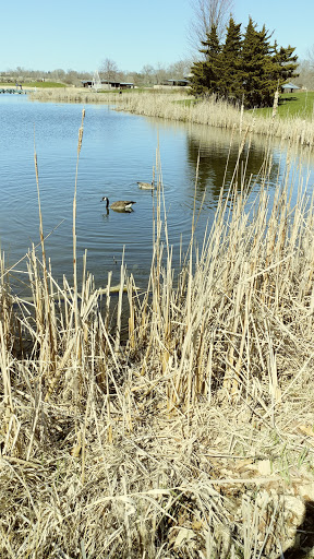 Nature Preserve «Independence Grove Forest Preserve», reviews and photos, 16400 Buckley Rd, Libertyville, IL 60048, USA