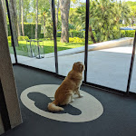 Photo n°4 de l'avis de Luis.r fait le 23/08/2020 à 08:19 sur le  Hotel Mediterraneo à Lido di Jesolo