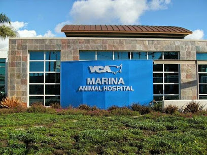 VCA Marina Bay Cities Animal Hospital