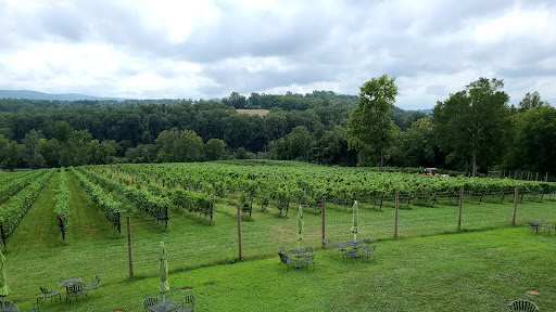 Winery «Cana Vineyards and Winery of Middleburg», reviews and photos, 38600 John Mosby Hwy, Middleburg, VA 20117, USA