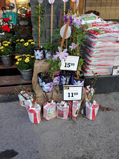 Supermarket «Price Chopper», reviews and photos, 53 Finney Blvd, Malone, NY 12953, USA