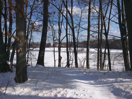 Curtis Pond Parcel