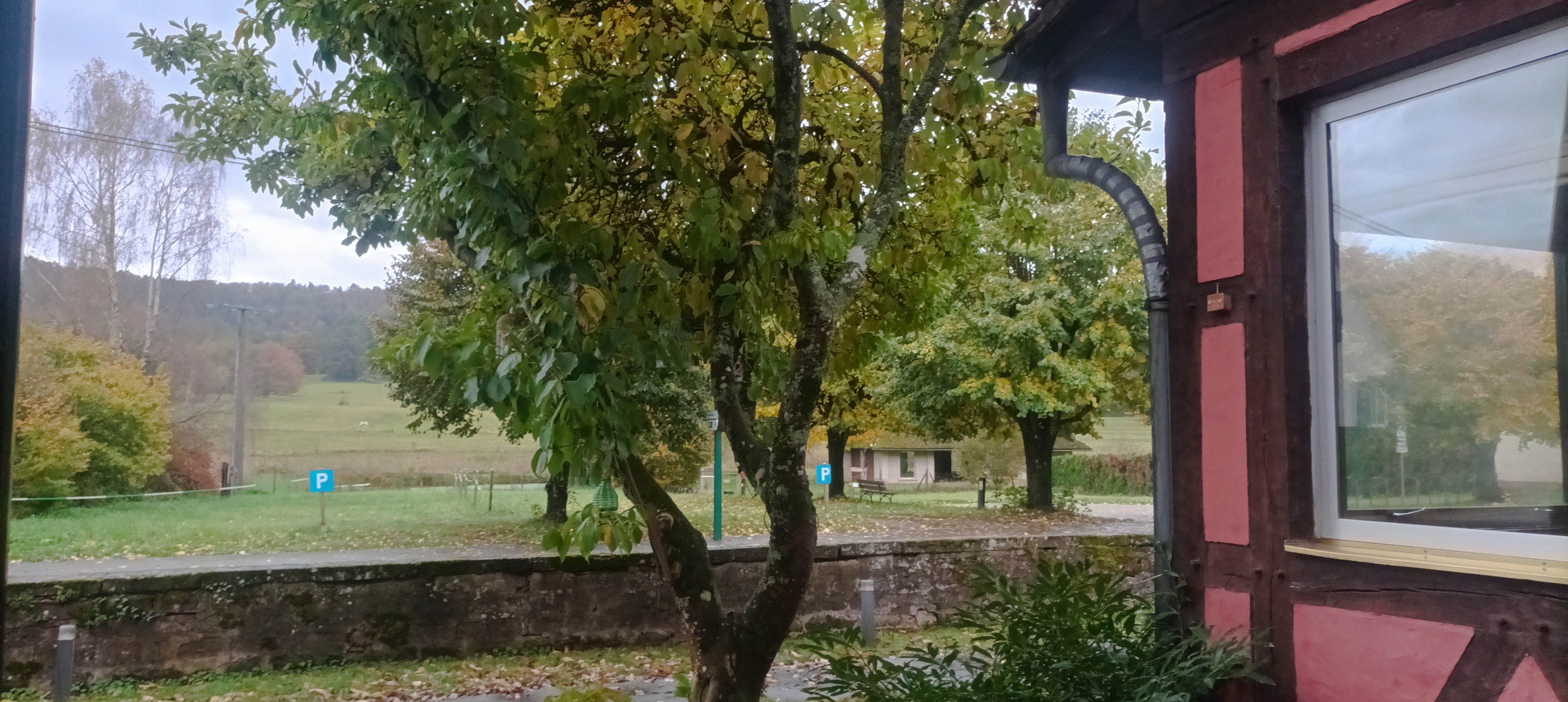 Photo n° 1 de l'avis de Patrick.l fait le 15/11/2023 à 15:22
