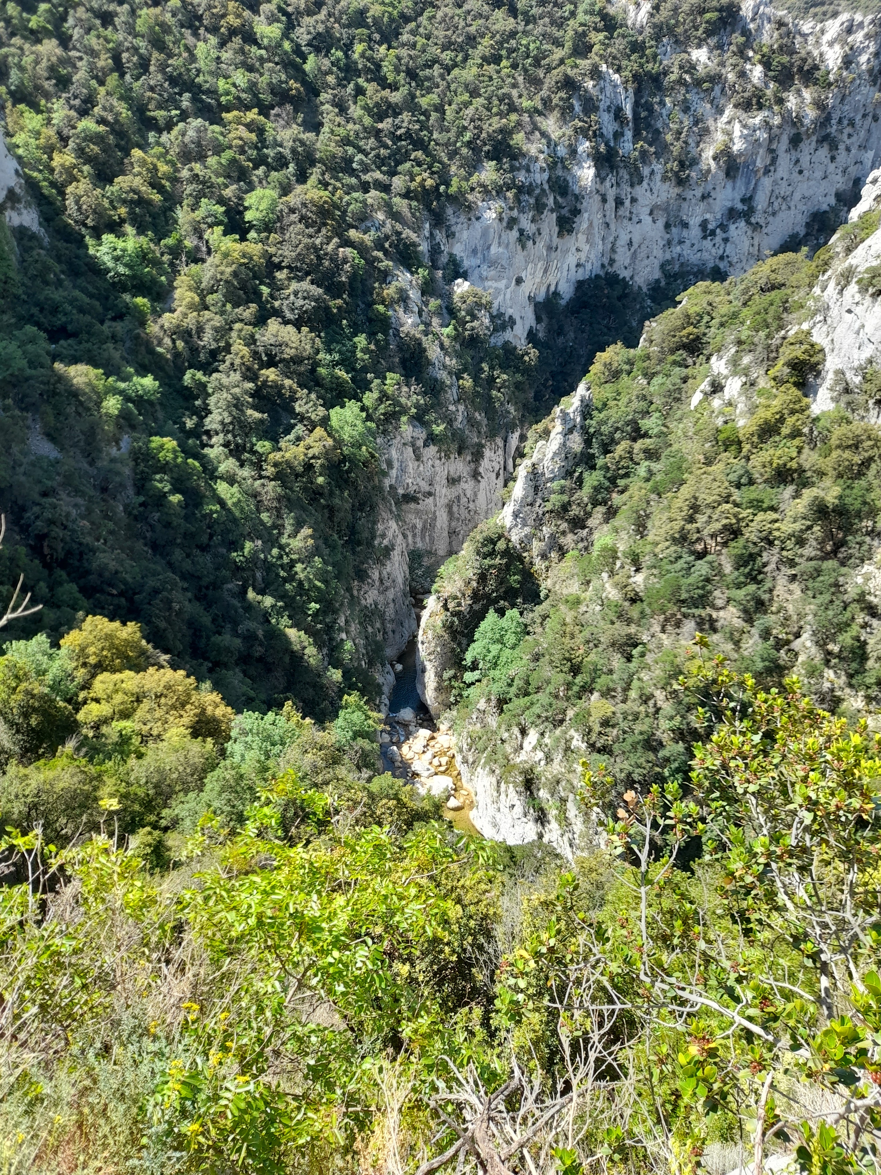 Photo n° 2 de l'avis de Regine.r fait le 21/05/2021 à 12:42