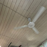 Photo n°3 de l'avis de A. fait le 16/07/2023 à 10:54 sur le  Trattoria Italia à La Spezia