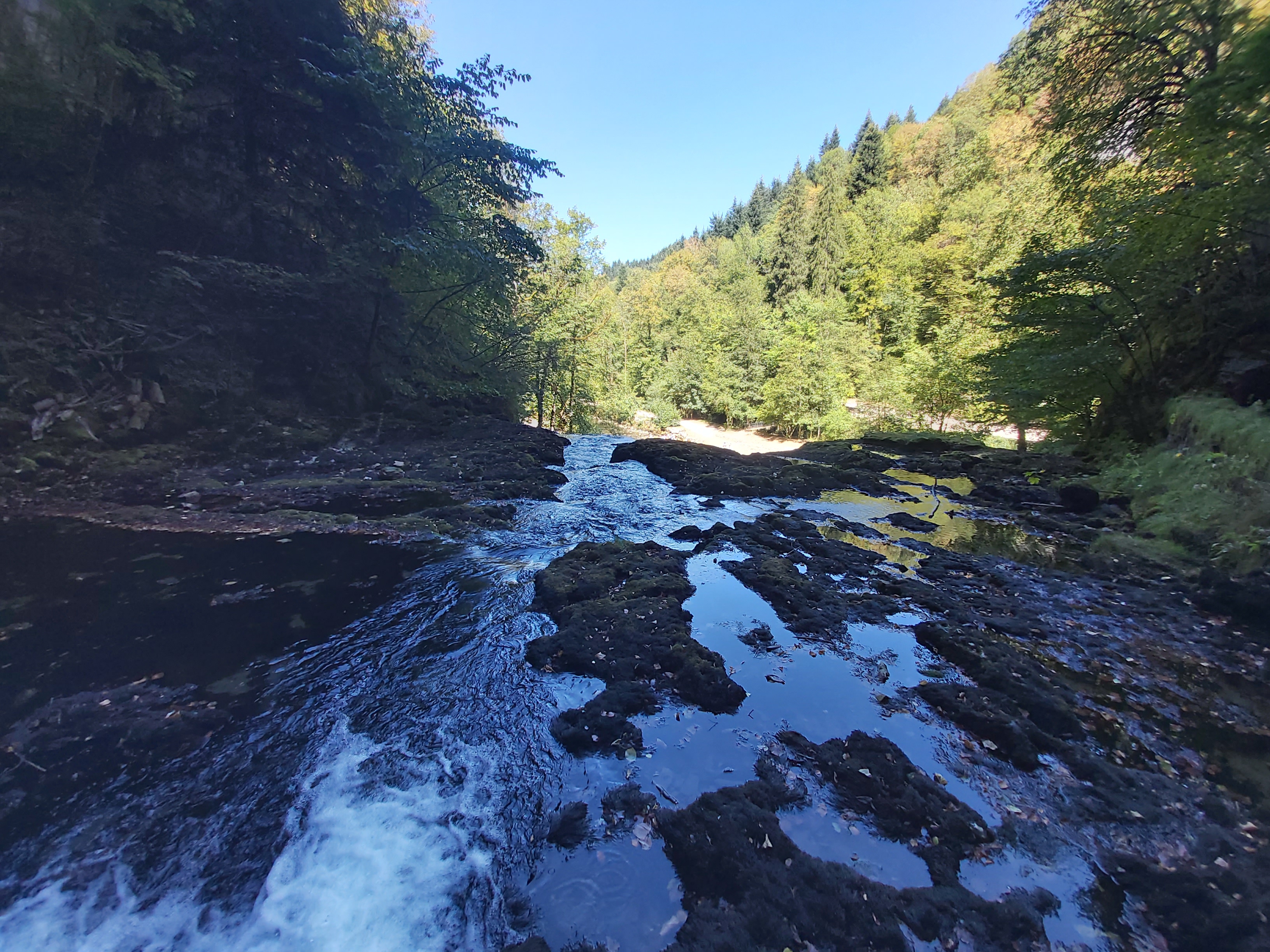 Photo n° 10 de l'avis de Océane.A fait le 21/08/2020 à 16:56