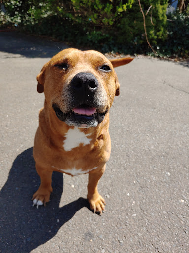 Vineyard «Di Grazia Vineyards & Winery», reviews and photos, 131 Tower Rd, Brookfield, CT 06804, USA