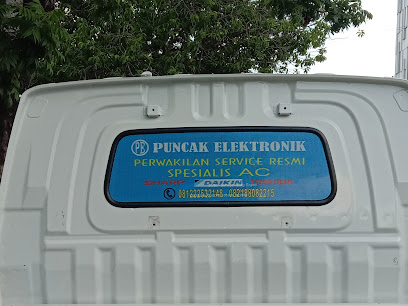 CV. Puncak Elektronik Group
