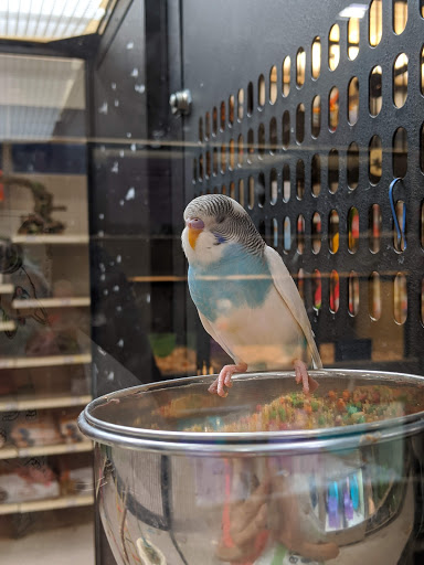 Pet Supply Store «PetSmart», reviews and photos, 4550 W Lake Mary Blvd, Lake Mary, FL 32746, USA