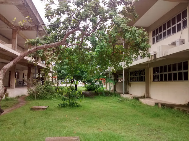UFPA Campus de Bragança