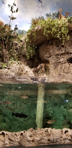 Book Store «Barnes & Noble», reviews and photos, 1900 W International Speedway Blvd, Daytona Beach, FL 32114, USA