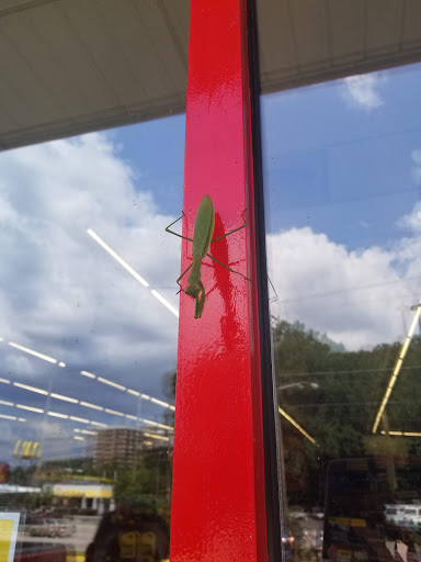 Auto Parts Store «Advance Auto Parts», reviews and photos, 6909 Forest Hill Ave, Richmond, VA 23225, USA