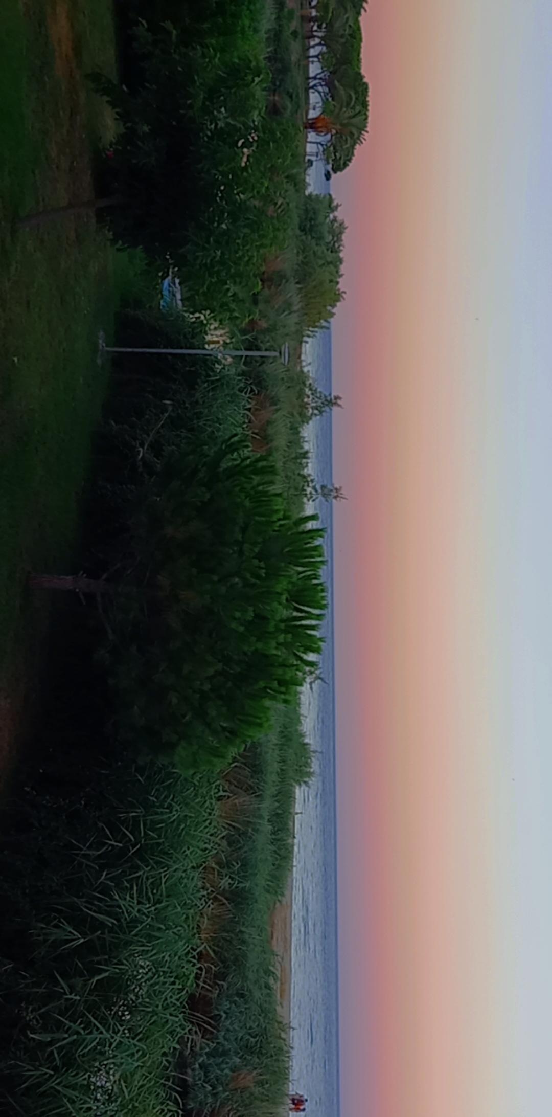 Photo n° 10 de l'avis de Michela.e fait le 23/08/2020 à 12:55