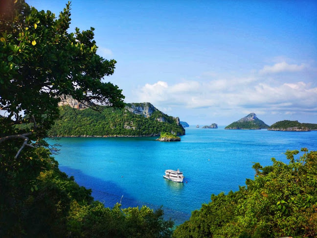 Călătorii și Farfurii - Voluntari