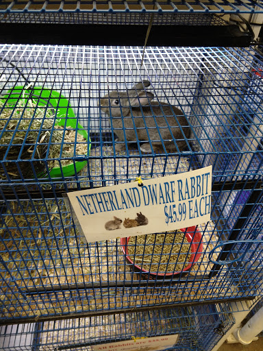 Pet Supply Store «Pickering Valley Feed & Farm Store», reviews and photos, 305 Gordon Dr, Exton, PA 19341, USA