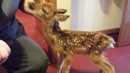 Milams Used Cars, 39 IN-135, Franklin, IN 46131, USA, 