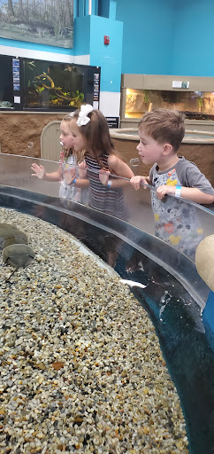 Educational Institution «Institute For Marine Mammal Studies», reviews and photos, 10801 Dolphin Ln, Gulfport, MS 39503, USA