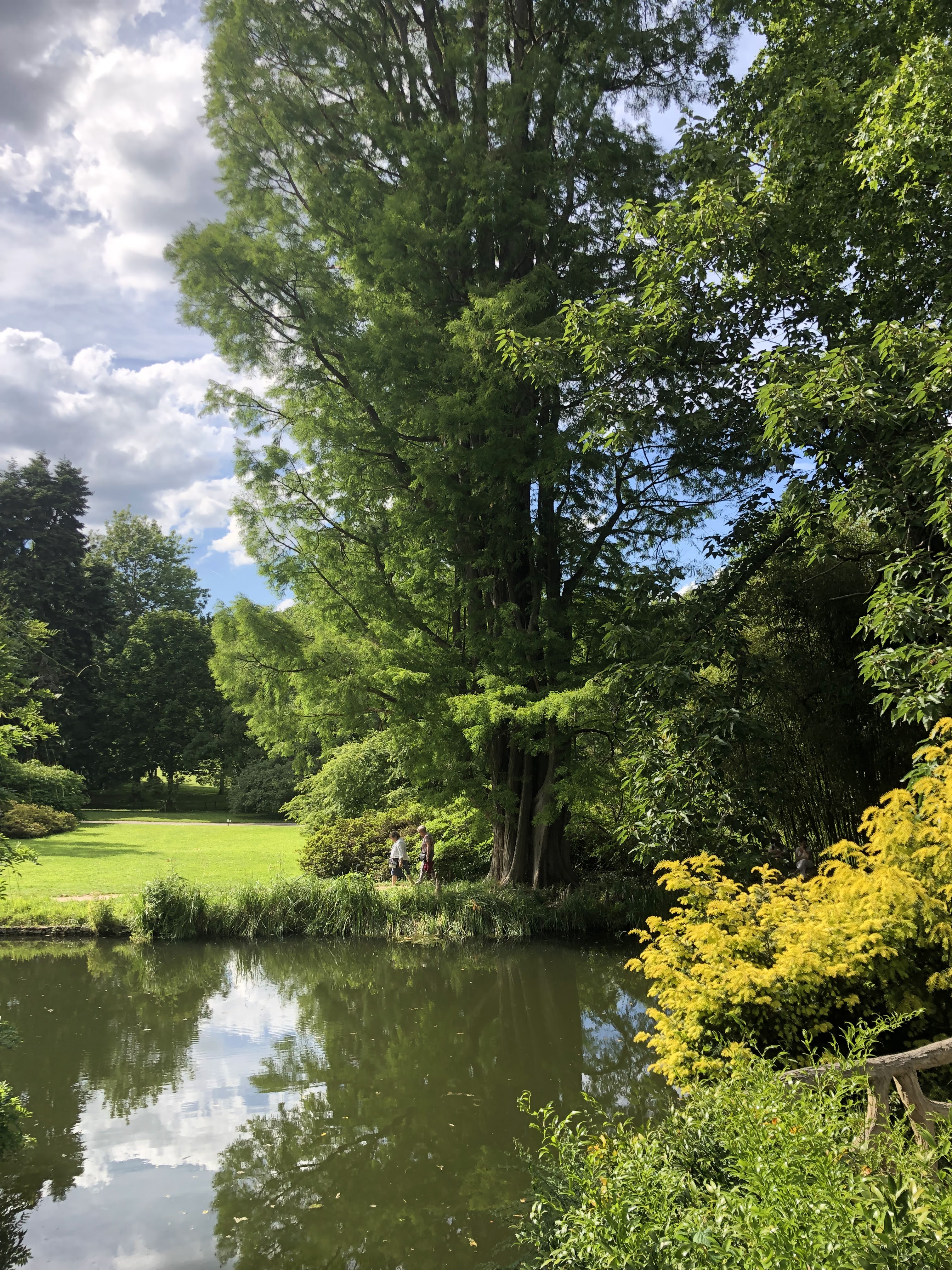 Photo n° 14 de l'avis de Denis.u fait le 18/06/2019 à 20:16