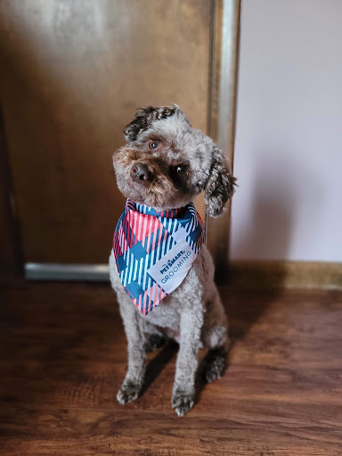 Pet Supply Store «PetSmart», reviews and photos, 5 Main St, East Hartford, CT 06118, USA