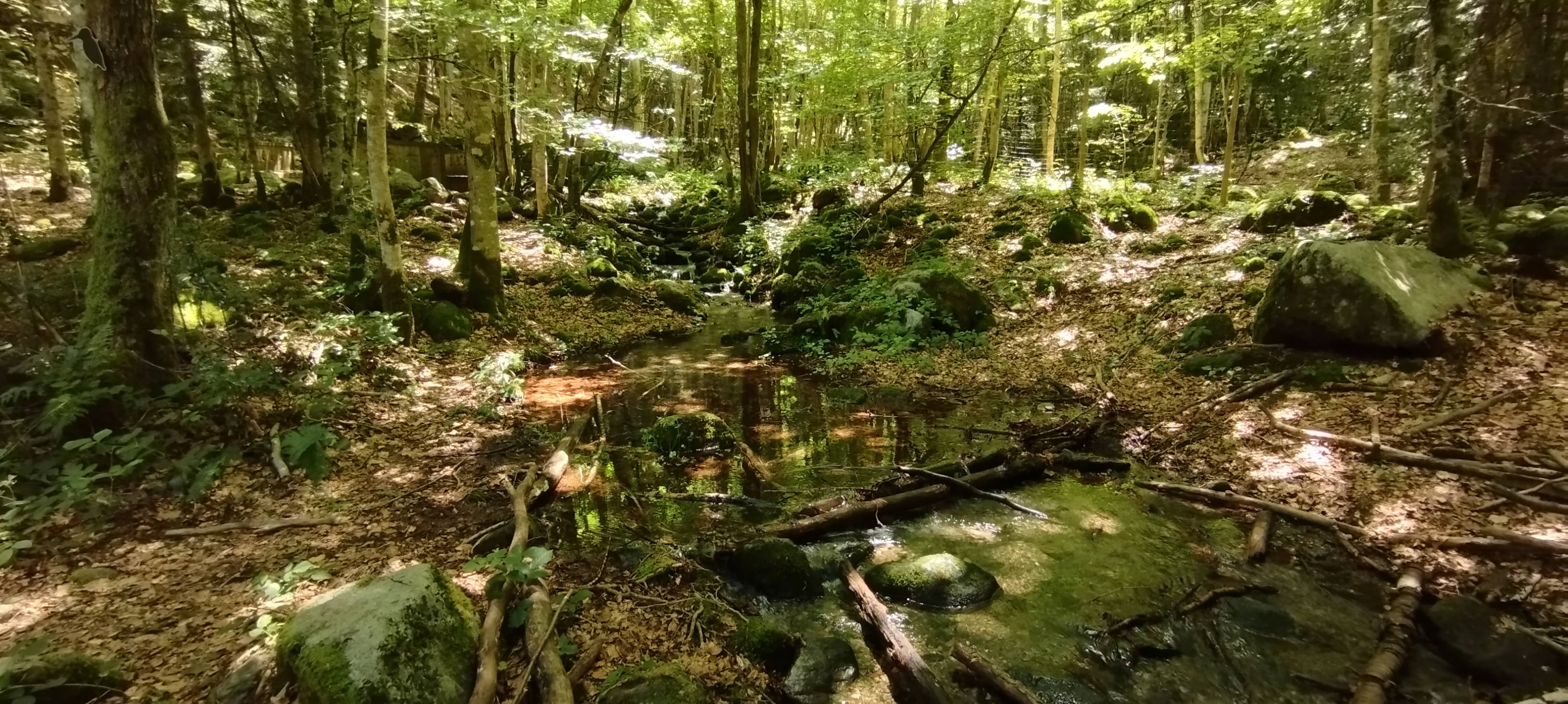 Photo n° 4 de l'avis de Fabrice.e fait le 19/08/2023 à 21:56